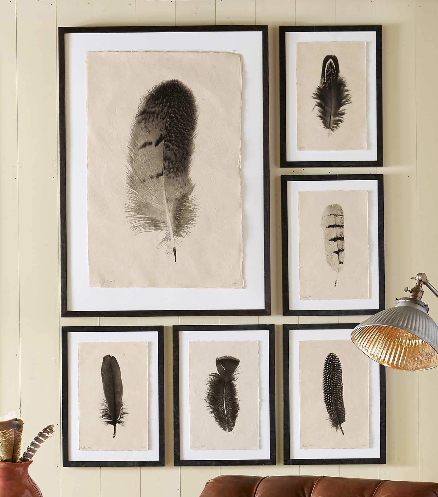 Barloga's Feather Prints